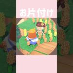 【あつ森】リセットさんありがとう🥺✨ #あつまれどうぶつの森 #あつ森 #ゲーム #shorts
