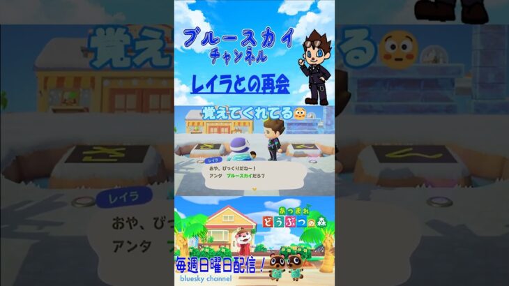 [あつ森]レイラとの再会 #shorts