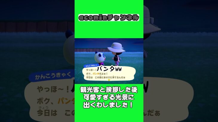 【あつ森】観光客と挨拶した後可愛すぎる光景に出くわしました！ |shorts