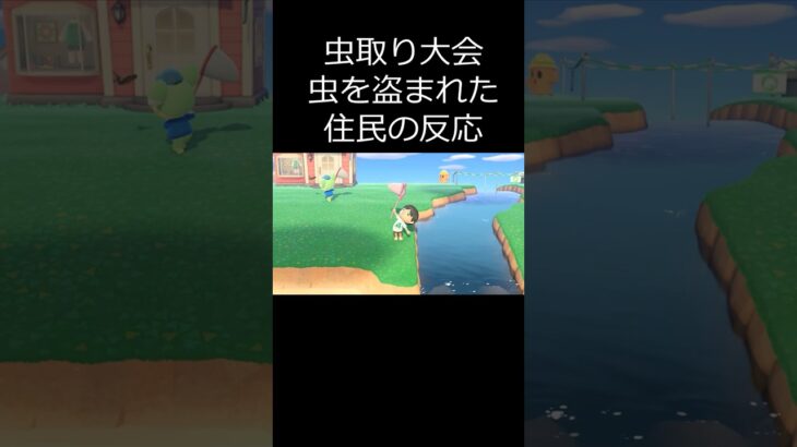 あつ森 虫取り大会虫を盗まれた住民の反応　 #shorts  #あつまれどうぶつの森 #あつ森  #animalcrossing #ゲーム実況