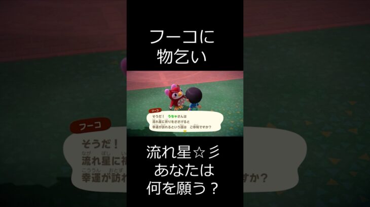 あつ森 フーコに物乞い 流れ星☆彡あなたは何を願う？ #shorts  #あつまれどうぶつの森 #あつ森  #animalcrossing #ゲーム実況