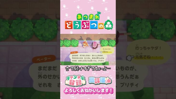 【あつ森】住民のお引越しは突然に。。。　ペーターちゃん　#shorts   #animalcrossing