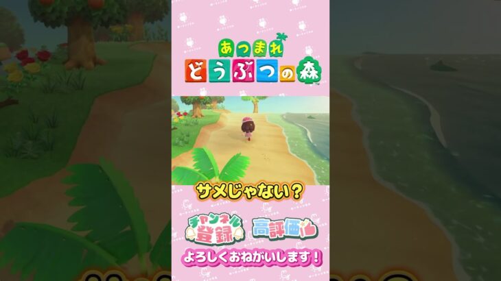 【あつ森】サメ島？！目の錯覚ｗ　#shorts   #animalcrossing