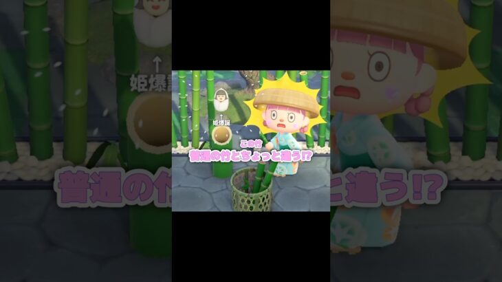 【たけのかご】ぜひとも背負いたかった…？！？！#あつ森 #どうぶつの森 #あつまれどうぶつの森 #どう森 #shorts #short #shortvideo