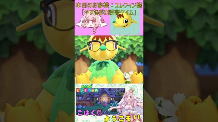 【あつ森】ハッピーホームパラダイス　１件目　エレフィン　#shorts  #あつ森 #vtuber #ゲーム実況