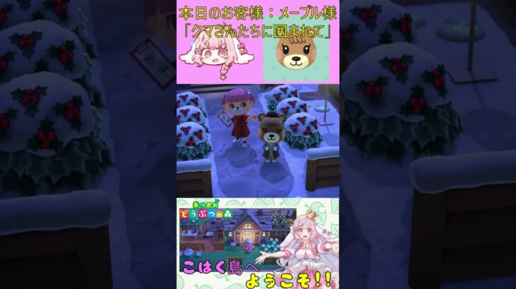 【あつ森】ハッピーホームパラダイス　２件目　メープル　#shorts  #あつ森 #vtuber #ゲーム実況