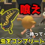 【朝活】虫図鑑埋めるまで終われない！？朝活あつ森【#shorts #vtuber #ゲーム実況  #あつ森  祭夜ちょこな】