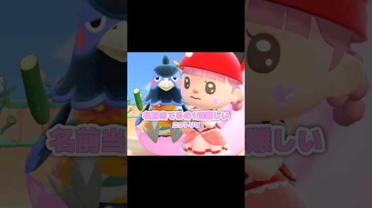 見た目から名前が分かる子もいるじゃん…？！？！#あつ森 #どうぶつの森 #あつまれどうぶつの森 #どう森 #shortvideo #shorts #short