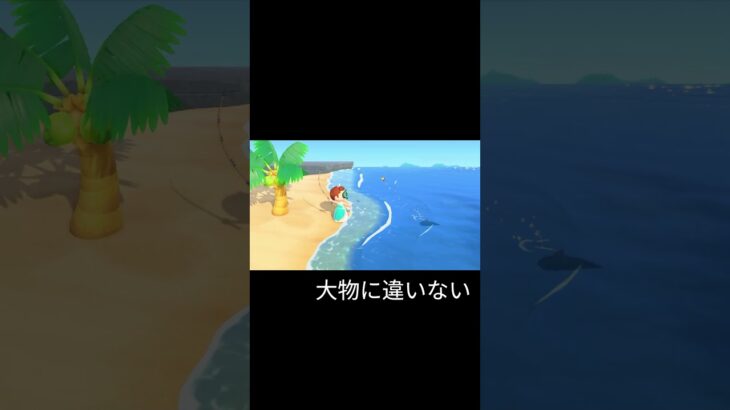 大物釣れました！ #どうぶつの森 #あつ森 #switch #あつまれどうぶつの森