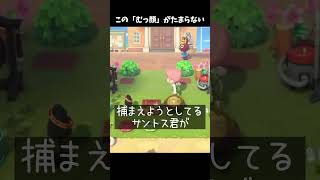この「むっ顔」がたまらない。 #あつ森 #ききゆん 【嬉々桜ゆん】#あつまれどうぶつの森 #ゲーム実況