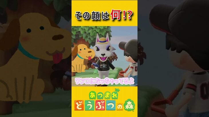 シベリアさんのキュートな一面【あつ森】 #あつ森 #あつまれどうぶつの森 #ゲーム実況