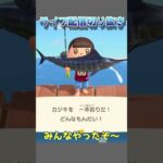 🔵【あつ森】カジキ一本釣りキャンペーン｜謎の歌｜ #あつ森