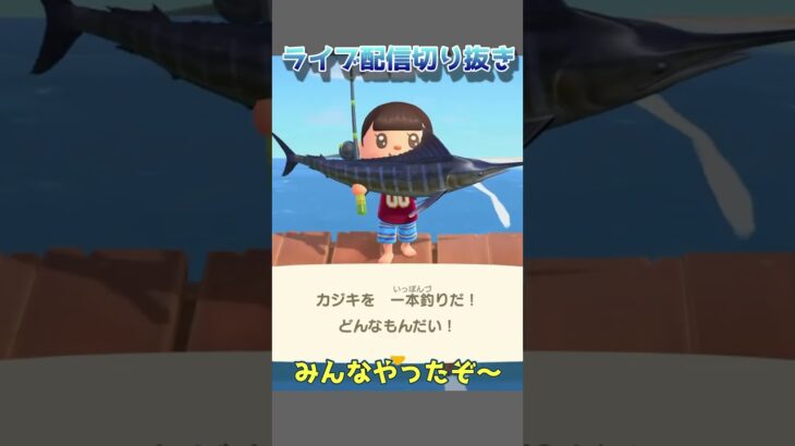 🔵【あつ森】カジキ一本釣りキャンペーン｜謎の歌｜ #あつ森