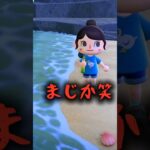 レアそうな魚発見‼️大物ゲットなるか？#あつ森