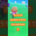 あつ森  リリーとパトラとカックンと