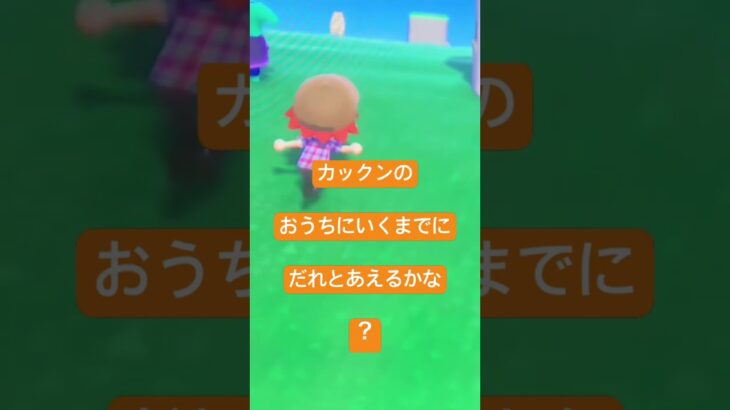 あつ森  リリーとパトラとカックンと
