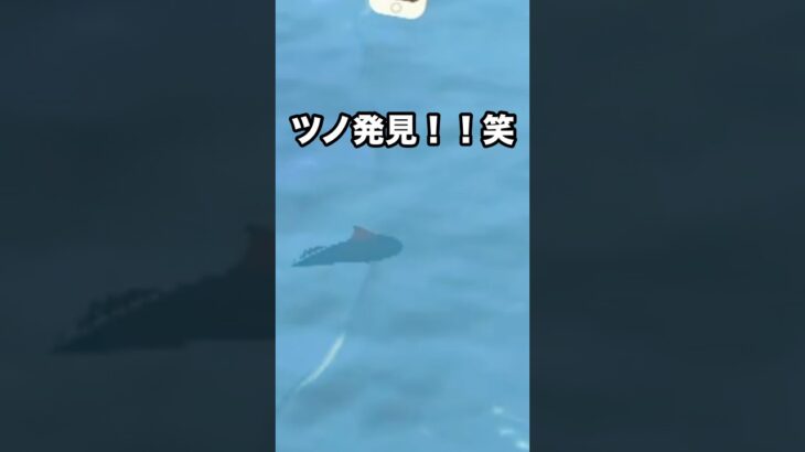 【あつ森】サメ発見！！魚釣りしてみた結果…