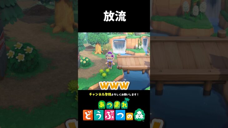 【あつ森】魚を川に放流した結果