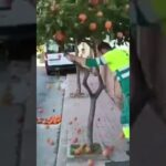 あつ森で草