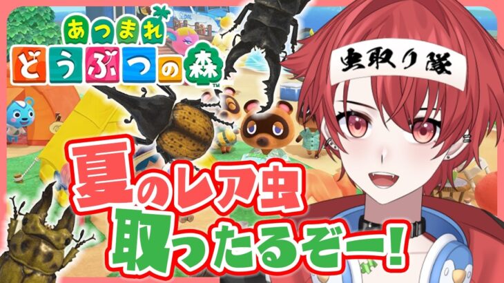 【あつ森雑談】夏のレア虫取ったるぞー!!｜初見さん大歓迎◎ #あつまれどうぶつの森