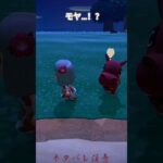 〖モヤモヤ…⁉〗( ,,`･ω･´)ﾝﾝﾝ？ｗ＃ガブリエル＃ #あつ森 #開拓サバイバル島