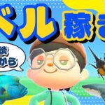 【あつ森】まったり雑談しながらベル稼ぎ！夏の高額生き物を売って稼ぐ🌿
