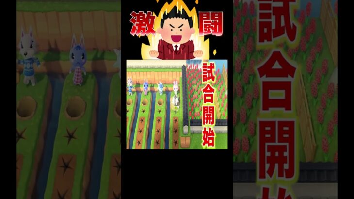 桜よりレースが熱すぎる🌸🔥😂#あつ森 #落とし穴レース