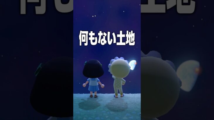 【あつ森】今年もりえるんと見たぞ