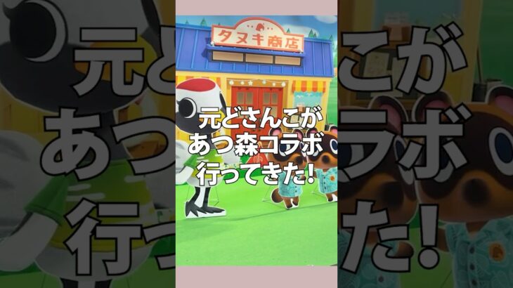 元どさんこ、あつ森コラボ行ってきた！
