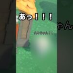 【あつ森】久々の再会！！あの元住民が来てくれました！！