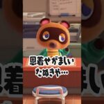 恩着せがましいたぬき【あつ森】
