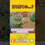 リチャード初めてのおつかい【あつ森】 #あつ森 #あつまれどうぶつの森 #ゲーム実況