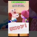 【#あつ森 】アリゲッティ【#あつまれどうぶつの森 】