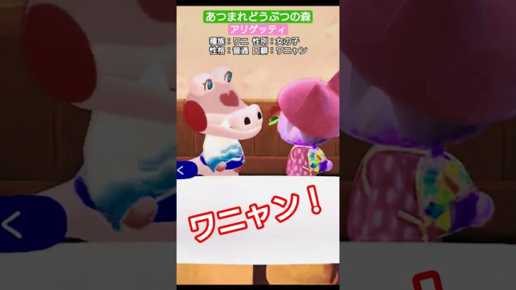 【#あつ森 】アリゲッティ【#あつまれどうぶつの森 】