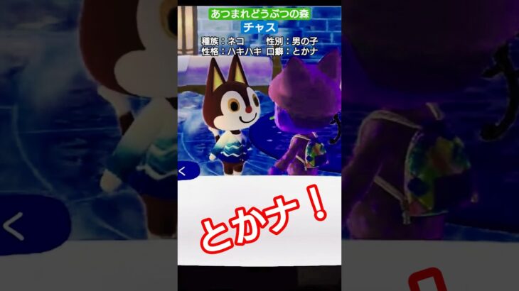 【#あつ森 】チャス【#あつまれどうぶつの森 】