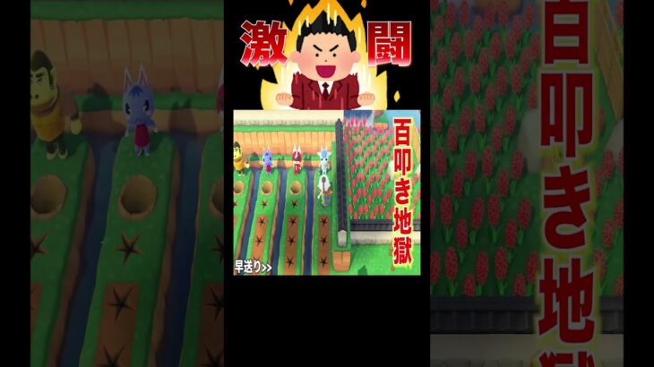 爽やかな季節が一瞬でカオス😂🌿🕳️#あつ森 #落とし穴レース