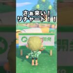 【あつ森】さぁ誰だ！？新しい住民がやってきました