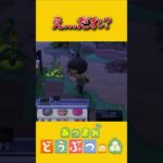 実は２対１だった…？【あつ森】 #あつ森 #あつまれどうぶつの森 #ゲーム実況