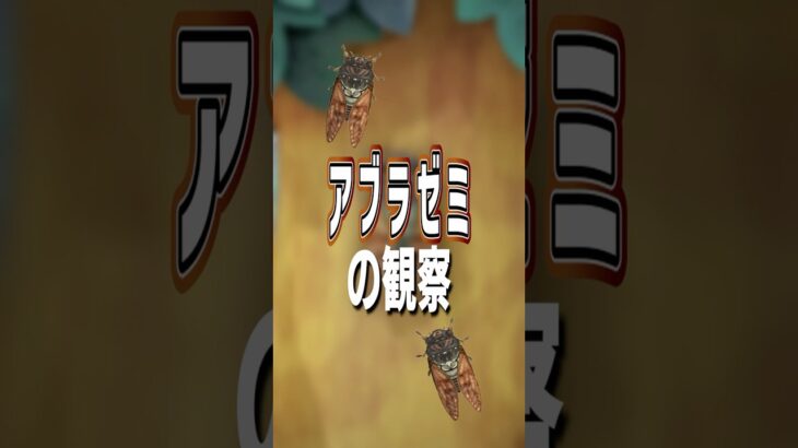 【あつ森】アブラゼミの観察🪲