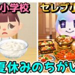 【あつ森アニメ】公立小学校とセレブ小学校＊夏休みのちがい【あつまれどうぶつの森】