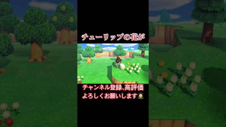チューリップの花が…#あつまれどうぶつの森 #あつ森 #どうぶつの森 #実況プレイ #ゲーム実況
