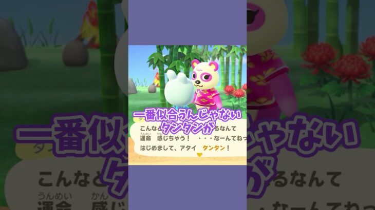 島と相性バッチリ！！！ #あつ森  #あつまれどうぶつの森  #女性ゲーム実況
