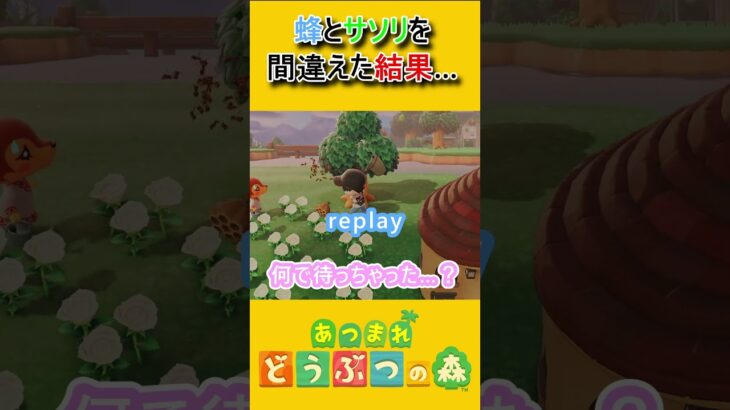 虫網を持っていた意味とは？【あつ森】 #あつ森 #あつまれどうぶつの森 #ゲーム実況