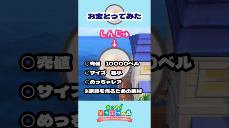 しんじゅって実は激レア！【あつ森】