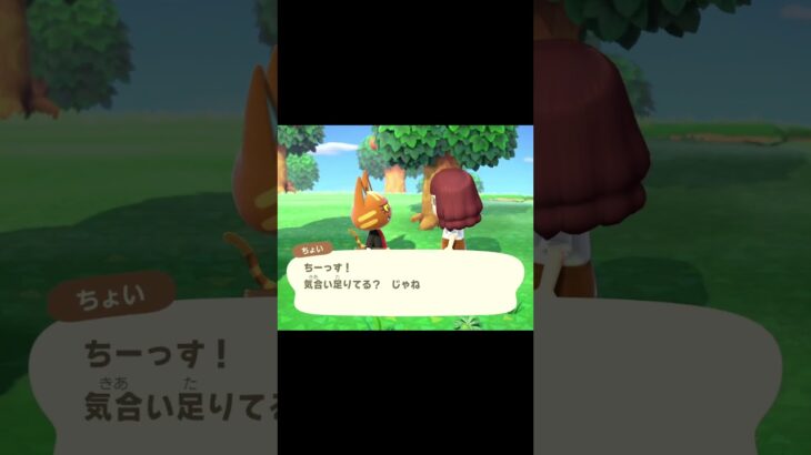 【あつ森】ちょいが語る島暮らし✨「ココの暮らしは気ままでイイねぇ！」