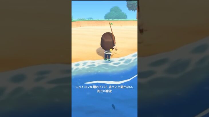 #あつ森 #あつまれどうぶつの森 #島クリエイト