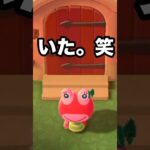 【あつ森】はじめまして！！新住民に会いに行ってきた