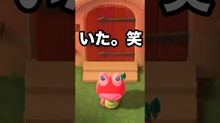 【あつ森】はじめまして！！新住民に会いに行ってきた