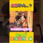 全然寝かせる気ありませんやん【あつ森】 #あつ森 #あつまれどうぶつの森 #ゲーム実況