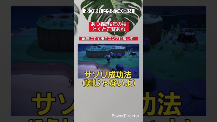 配信にて全種全コンプ目指し中!! #あつ森